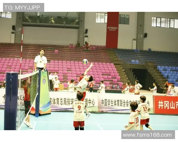 深圳排球队在全国排球比赛经验排行榜中荣获第八名的荣耀与挑战